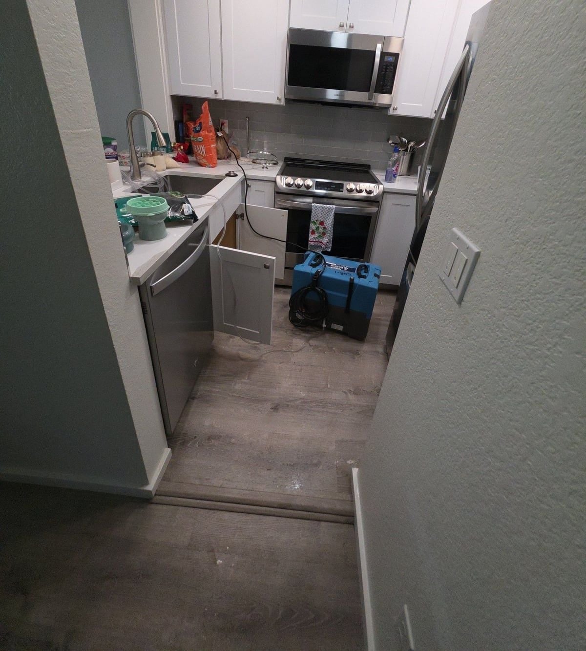 Drying equipment set up in a Renton apartment kitchen