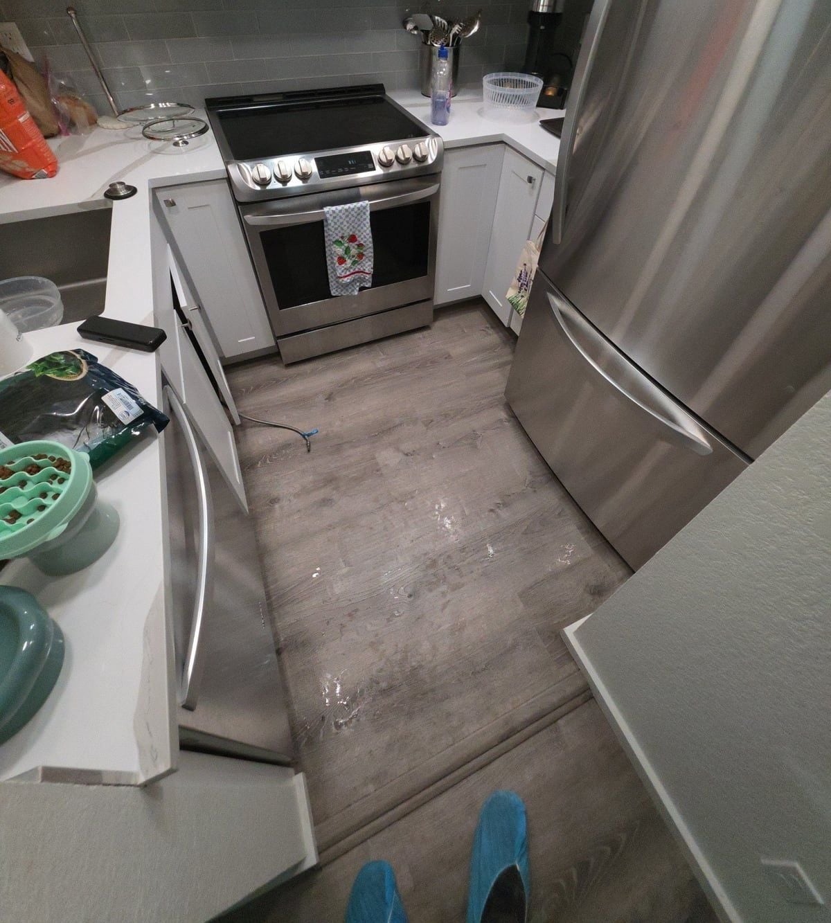 Visible water on the apartment kitchen flooring during the first visit